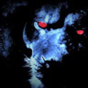 Meet your Posher, Lon